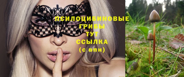 каннабис Арсеньев