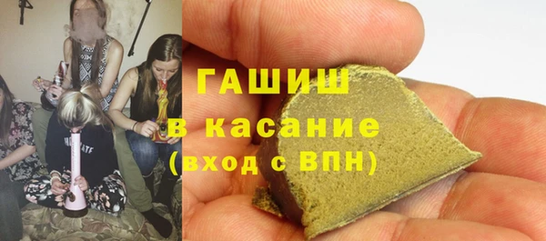 сатива Ельня